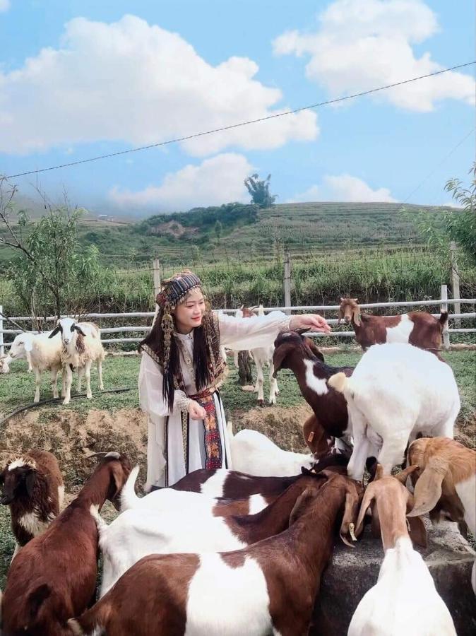 O Chau Homestay Lao Cai Luaran gambar
