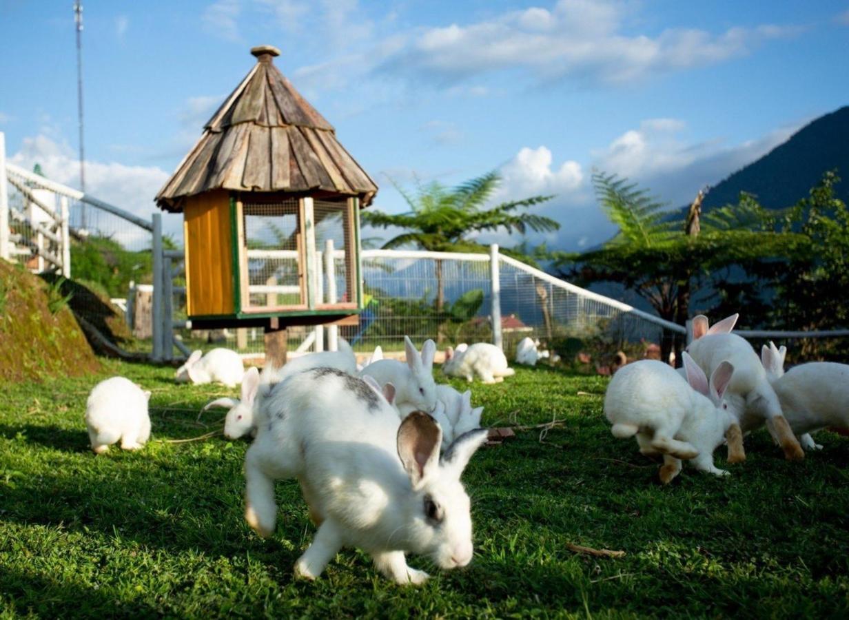 O Chau Homestay Lao Cai Luaran gambar